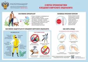 Роспотребнадзор информирует